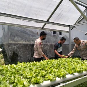 Gunakan Lahan Kosong Untuk Pekarangan Bergizi, Polres Loteng Apresiasi Masyarakat