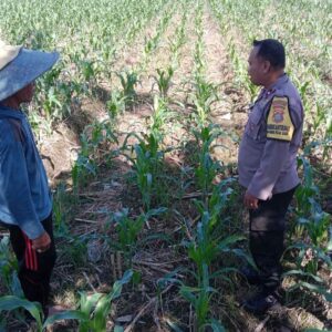 Bhabinkamtibmas Desa Bagik Polak Barat Dorong Kemandirian Pangan