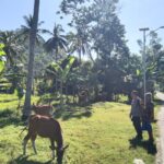 Bhabinkamtibmas Batulayar Barat Aktif Dorong Ketahanan Pangan Masyarakat Melalui Pemanfaatan Pekarang