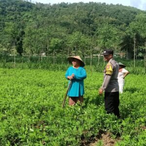 Optimalisasi Pekarangan: Peran Aktif Bhabinkamtibmas