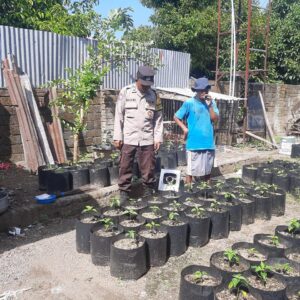 Meningkatkan Kemandirian Pangan: Bhabinkamtibmas Kuripan Utara Gelar Sosialisasi