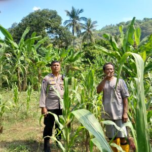Ketahanan Pangan: Kolaborasi Bhabinkamtibmas dan Warga Desa Senggigi