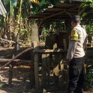 DDS Bhabinkamtibmas Sekotong: Sinergi Polri dan Masyarakat untuk Ketahanan Pangan