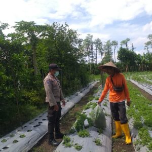 Bhabinkamtibmas Desa Jagaraga Ajarkan Warga Pemanfaatan Lahan untuk Ketahanan Pangan