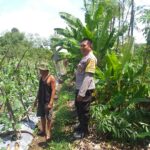 Polsek Kuripan Aktif Sosialisasi Ketahanan Pangan ke Petani Desa Jagaraga