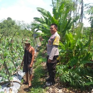 Polsek Kuripan Aktif Sosialisasi Ketahanan Pangan ke Petani Desa Jagaraga