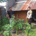 Polsek Kuripan Apresiasi Upaya Ketahanan Pangan Warga Jagaraga