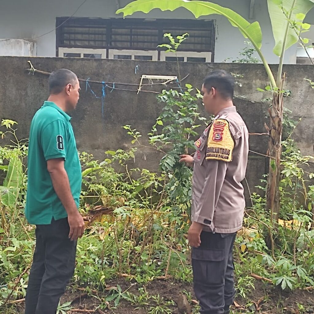 Dukung Ketahanan Pangan, Warga Desa Kuranji Dalang Tanam Sayuran di Pekarangan