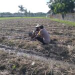 Bhabinkamtibmas Desa Kuripan Beri Motivasi Pemanfaatan Pekarangan untuk Ketahanan Pangan