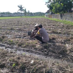 Bhabinkamtibmas Desa Kuripan Beri Motivasi Pemanfaatan Pekarangan untuk Ketahanan Pangan