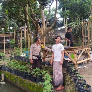 Bhabinkamtibmas Kuripan Aktif Dampingi Pemuda Tanam Sayuran