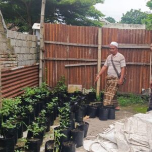 Kunjungan Bhabinkamtibmas Jadi Media Edukasi Ketahanan Pangan Keluarga