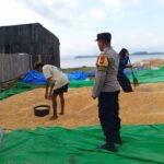 Bhabinkamtibmas Sekotong Barat Aktif Jaga Ketahanan Pangan dan Sampaikan Pesan Kamtibmas