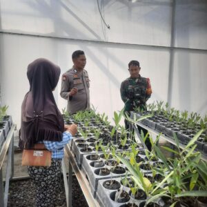 Polres Loteng dan Kodim 1620/Loteng Bersinergi Gelorakan Pekarangan Bergizi Dukung Ketahanan Pangan Nasional