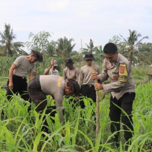 Polres Loteng Tinjau Lahan Jagung Warga, Perkuat Ketahanan Pangan Dukung Asta Cita Presiden RI