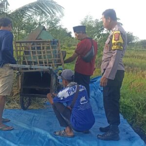Polres Loteng Turun Langsung, Tinjau Panen Padi dan Perkuat Ketahanan Pangan Masyarakat. ‎