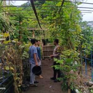 Pemuda Kuripan Utara Dilibatkan dalam Program Ketahanan Pangan Lokal