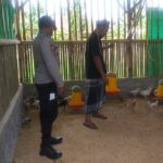 Menggerakkan Ketahanan Pangan, Bhabinkamtibmas Jagaraga Kunjungi Peternak Ayam Mandiri