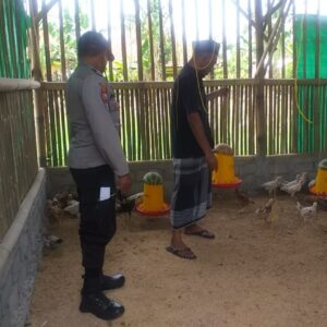 Kunjungan Bhabinkamtibmas di Kuripan Dukung Peternakan Ayam Mandiri