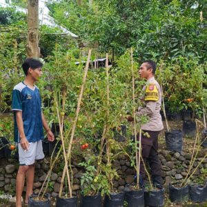 Sinergi Polri dan Pemuda: Wujudkan Kemandirian Pangan di Desa Kuripan
