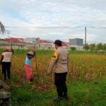 Sinergi Polri dan Warga Kembangkan Ketahanan Pangan Desa