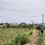 DDS Bhabinkamtibmas: Pendekatan Humanis Jaga Kamtibmas dan Pangan