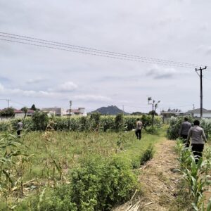 DDS Bhabinkamtibmas: Pendekatan Humanis Jaga Kamtibmas dan Pangan