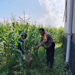 Sinergi Polri dan Masyarakat Desa Bagik Polak Barat Perkuat Ketahanan Pangan