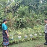 Polsek Batulayar Gencarkan Program Ketahanan Pangan Melalui Silaturahmi Bhabinkamtibmas