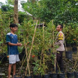 Kunjungan Bhabinkamtibmas: Edukasi Pemuda tentang Ketahanan Pangan Pekarangan