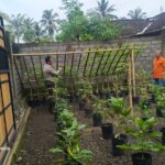 Bhabinkamtibmas Kuripan Sosialisasikan Pemanfaatan Lahan untuk Tanam Pangan