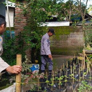 Bhabinkamtibmas Kuripan Edukasi Warga Soal Ketahanan Pangan Lokal