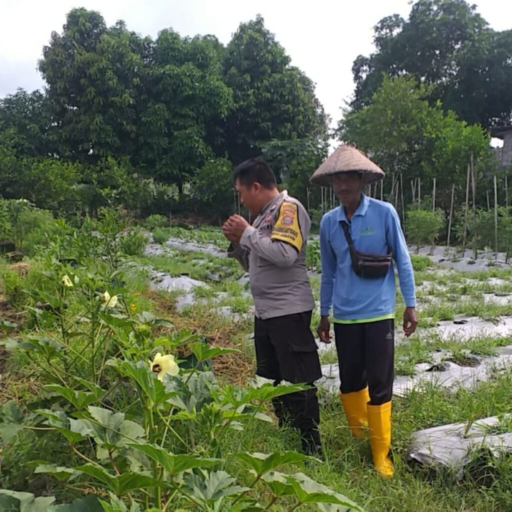 Optimalisasi Lahan untuk Ketahanan Pangan: Langkah Nyata Polri di Lombok Barat