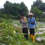 Optimalisasi Lahan untuk Ketahanan Pangan: Langkah Nyata Polri di Lombok Barat