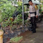 Ketahanan Pangan Nasional, Polsek Labuapi Turun Langsung ke Masyarakat