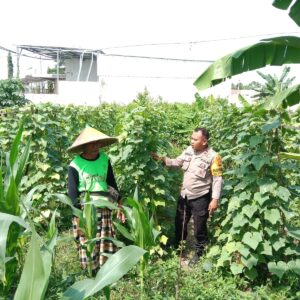 Sinergi Polri-Masyarakat Wujudkan Ketahanan Pangan di Lombok Barat