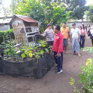 Program Ketahanan Pangan Digencarkan di Desa Jagaraga