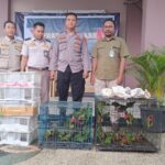 Balai Karantina NTB dan Polisi Gagalkan Perdagangan Burung Ilegal di Pelabuhan Lembar