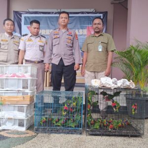 Balai Karantina NTB dan Polisi Gagalkan Perdagangan Burung Ilegal di Pelabuhan Lembar