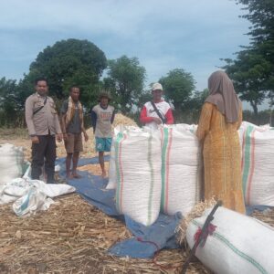 Pemantauan hasil panen warga Desa Serakapi dalam mendukung Program Ketahanan Pangan Nasional menuju Indonesia Emas 2045