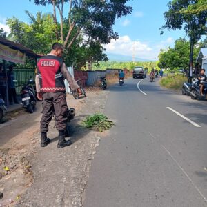 Polri Lakukan Olah TKP Kejadian Laka Lantas