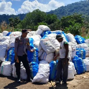 Dukung Swasembada Pangan, Bhabinkamtibmas Desa Talonang Baru Dampingi Panen Jagung