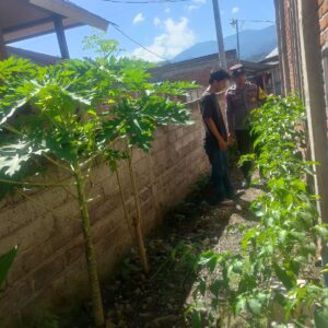 Bhabinkamtibmas Desa Lamusung Turun ke Lahan, Dukung Warga Kelola Pekarangan Jadi Sumber Pangan Bergizi