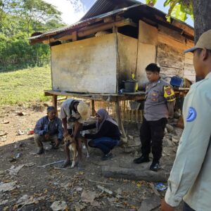 Bhabinkamtibmas Desa Sekongkang Atas Dampingi Petugas Poskeswan lakukan Vaksinasi Rabies