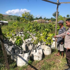 Bhabinkamtibmas Desa Katua Dorong Pemanfaatan Pekarangan untuk Tanaman Pangan