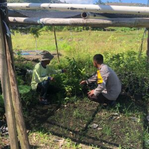 Bhabinkamtibmas Desa Katua Dorong Pemanfaatan Pekarangan untuk Tanaman Pangan