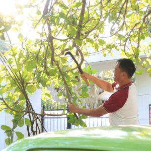 Aksi Nyata Polri Peduli Lingkungan: Kapolres Dompu Pimpin Jum’at Bersih Sepanjang Jalan Bhayangkara