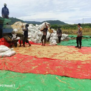 Bhabinkamtibmas Desa Hu’u Pantau Penggilingan Jagung Warga, Ingatkan Pentingnya Kualitas Panen