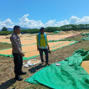 Dukung Ketahanan Pangan Nasional, Bhabinkamtibmas Desa Marada Pantau Langsung Proses Penjemuran Jagung Milik Warga