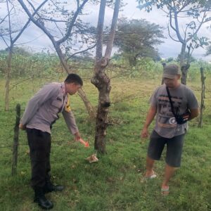 Hendak Menjaring Ikan, Seorang Pria Ditemukan Tewas Dengan Posisi Terlentang di Plampang